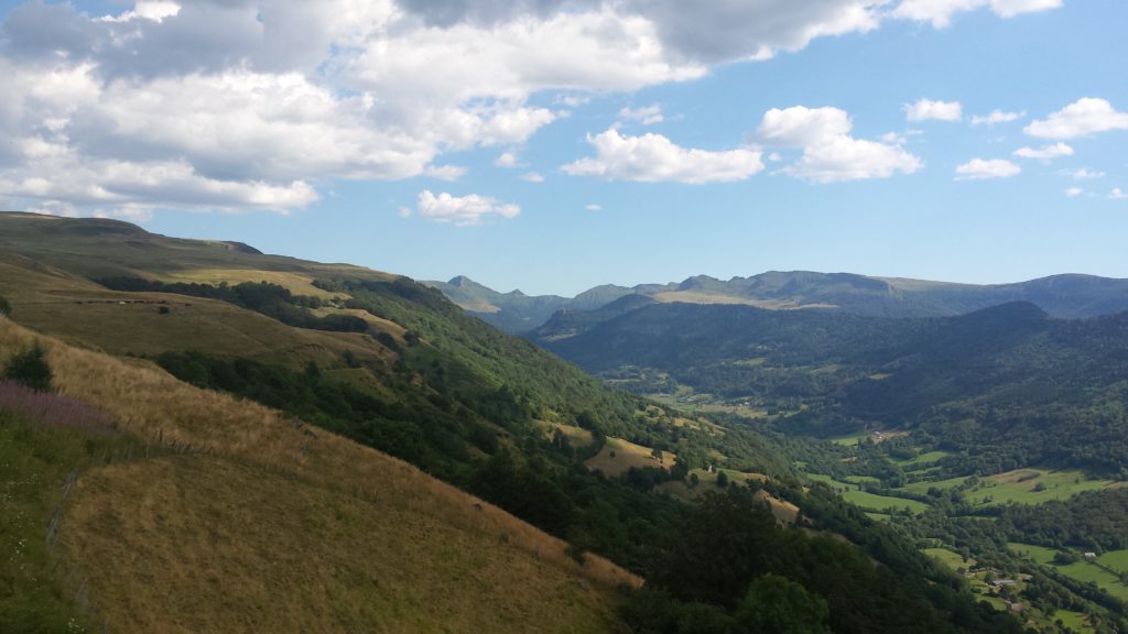 Tarte à la tome fraîche de Cantal | Papilles à l'affût